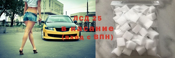 прущие грибы Нея