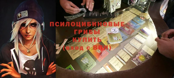 прущие грибы Нея