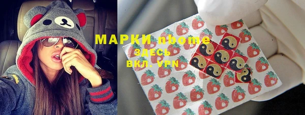 прущие грибы Нея