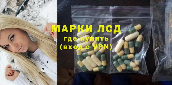 прущие грибы Нея