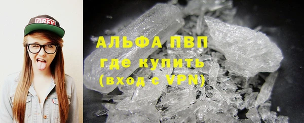 прущие грибы Нея