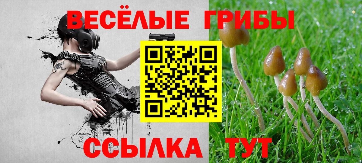 Псилоцибиновые грибы прущие грибы Старый Оскол