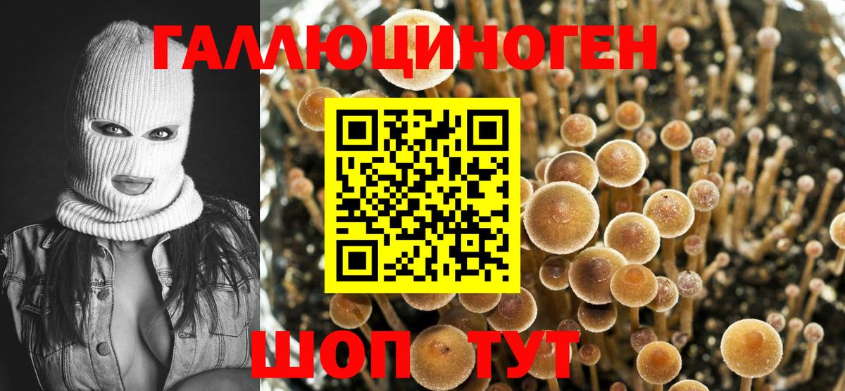 Псилоцибиновые грибы Psilocybine cubensis  Вход с VPN  Галлюциногенные грибы мухоморы  Старый Оскол 