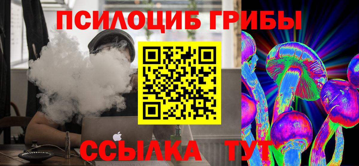 Псилоцибиновые грибы Psilocybine cubensis Старый Оскол