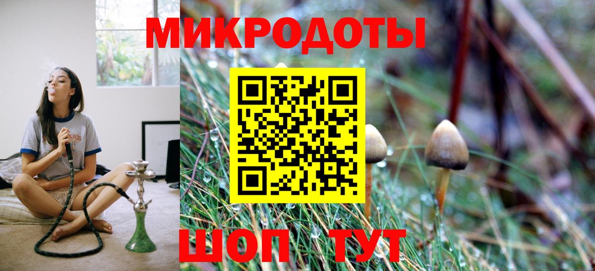 Псилоцибиновые грибы Psilocybe  Галлюциногенные грибы ЛСД  Старый Оскол 